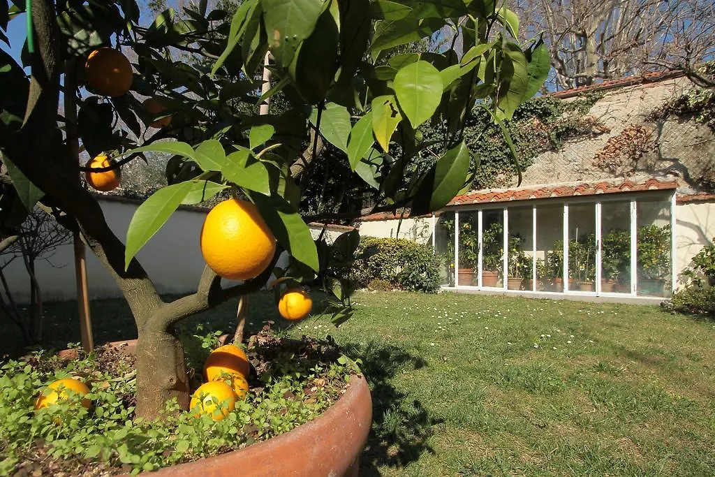 Bed & Breakfast Il Diospero B&B Florence Italy